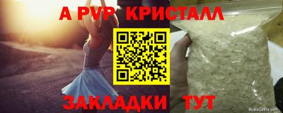 a pvp Пугачёв