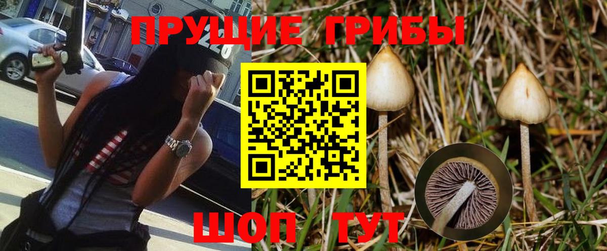 Псилоцибиновые грибы MAGIC MUSHROOMS Тавда