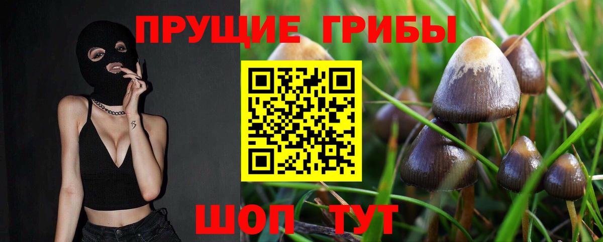 Псилоцибиновые грибы мицелий  Вход с VPN  Тавда 